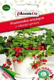 PLANTICO köögivilja- ja lilletaimede seemned